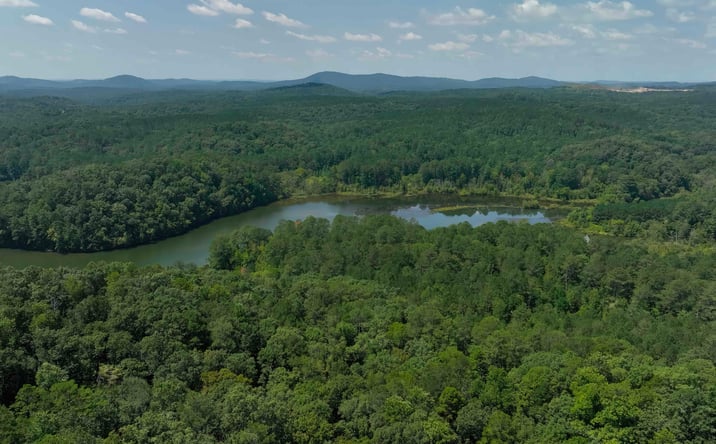 Pictures of Land property located at 16 Hawks Branch Ln, White, GA 30184 for sales - image #1