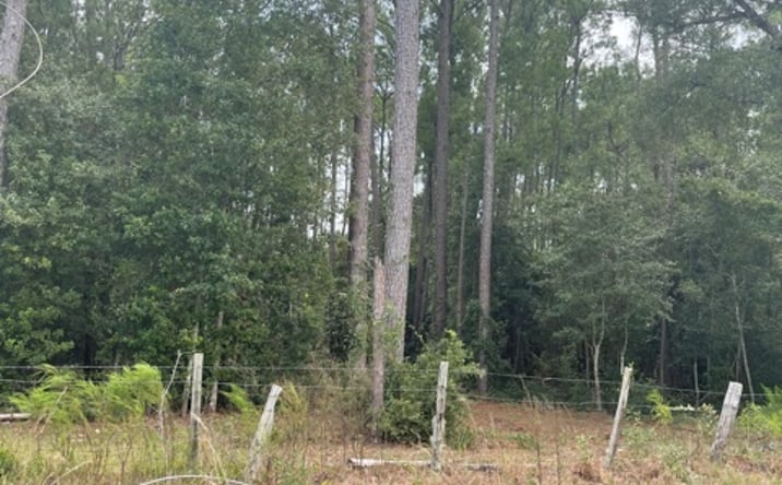 Pictures of Land property located at 1945 SW SR 247 (01), Lake City, FL 32024 for sales - image #1
