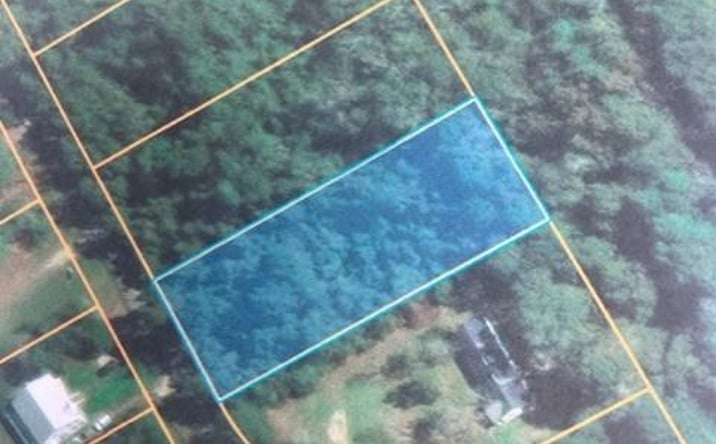 Pictures of Land property located at 0 Lakeside Dr., Carriere, MS 39426 for sales - image #1