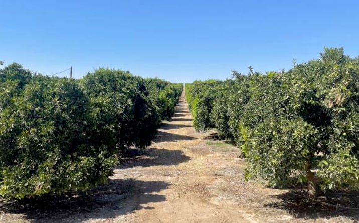 Pictures of Land, Mixed Use property located at Famoso Rd, Bakersfield, CA 93308 for sales - image #1