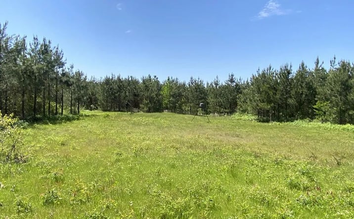 Pictures of Land property located at Patmos 80, Hope, AR 71801 for sales - image #1