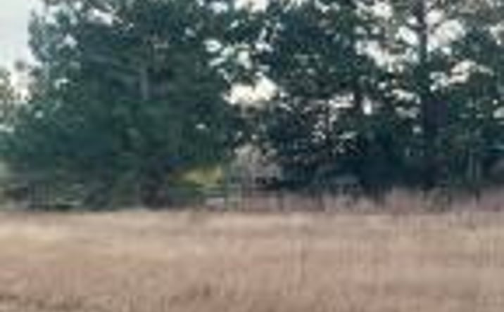 Pictures of Land property located at 00 Sc Highway 191 Johnston Hwy., Trenton, SC 29847 for sales - image #1