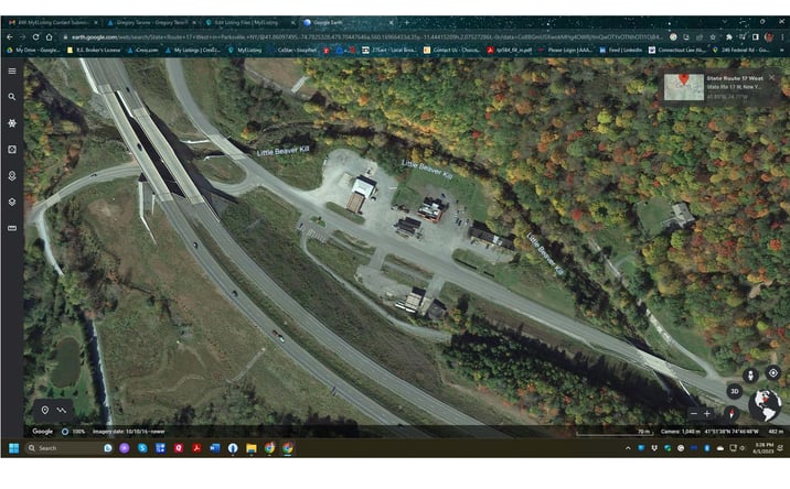 Pictures of Hospitality, Special Purpose property located at 960/968 Parksville Rd, Livingston Manor, NY 12758 for sales - image #1