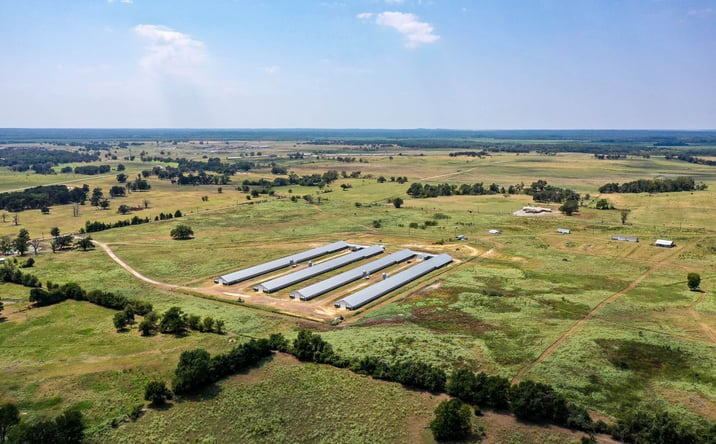 Pictures of Land property located at 3585 County Rd 2701, Tennessee Colony, TX 75861 for sales - image #1