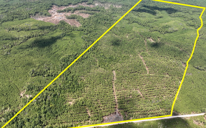 Pictures of Land property located at 000 Lost Indian Camp Rd, Huntsville, TX 77340 for sales - image #1