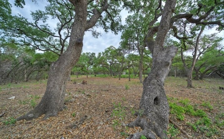 Pictures of Land property located at 11916 Jim Bridger Dr, Austin, TX 78737 for sales - image #1