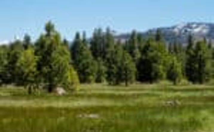 Pictures of Land property located at 000 Delwood Street, Westwood, CA 96137 for sales - image #1