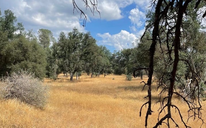 Pictures of Land property located at 10217 Holtzel Rd / Bull Creek Rd 2S05, Coulterville, CA 95311 for sales - image #1