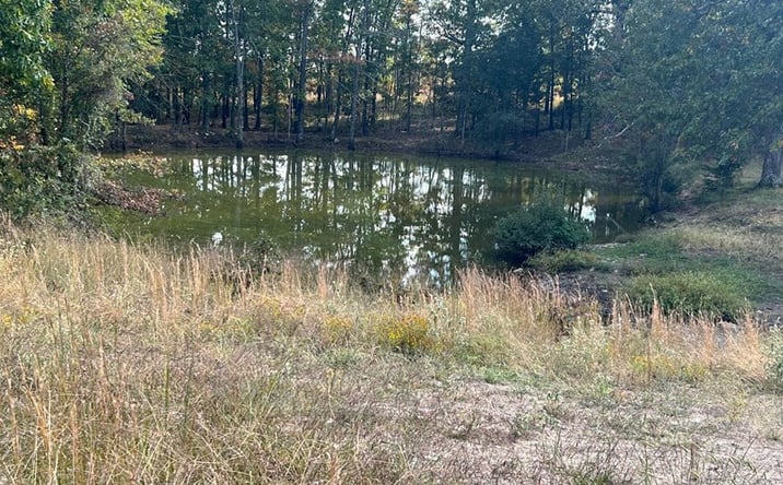 Pictures of Land property located at F Highway, Koshkonong, MO 65692 for sales - image #1