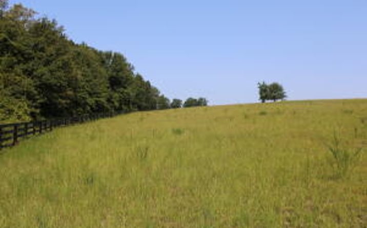 Pictures of Land property located at 000 Tumbleweed Drive, Aiken, SC 29805 for sales - image #1