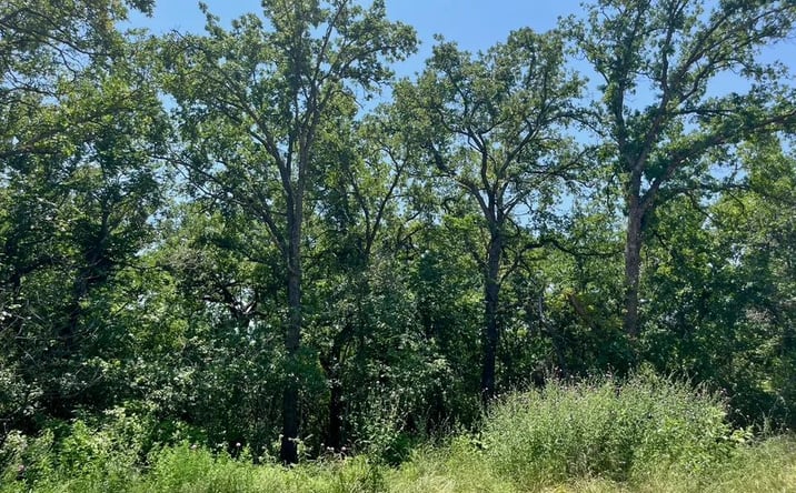 Pictures of Land property located at Lot 77 Kilkenny, Poolville, TX 76487 for sales - image #1