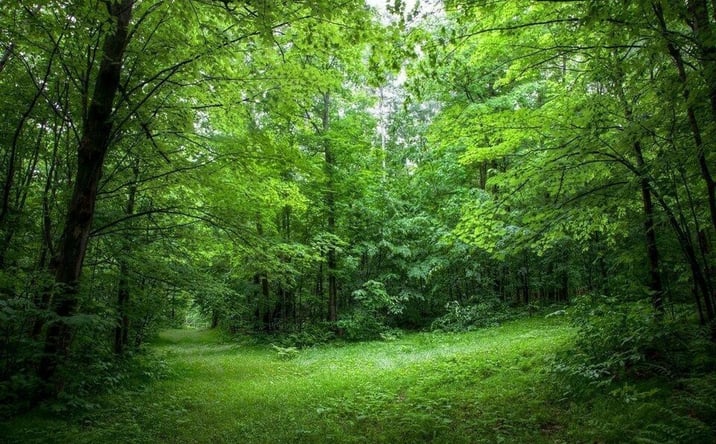 Pictures of Land property located at 460 Chris Gaupp Dr, Galloway, NJ 08205 for sales - image #1