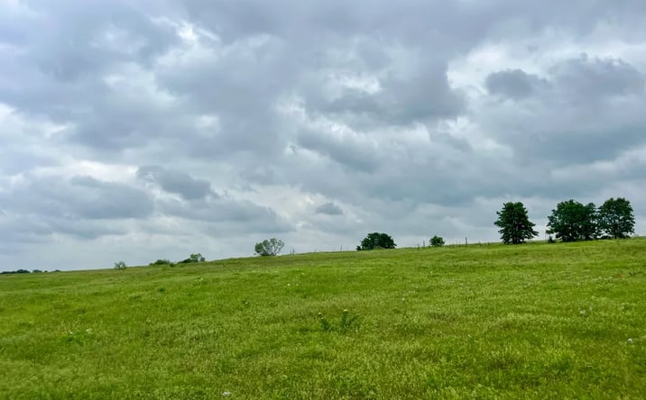 Pictures of Land property located at Lot 26 Kilkenny Road, Poolville, TX 76487 for sales - image #1