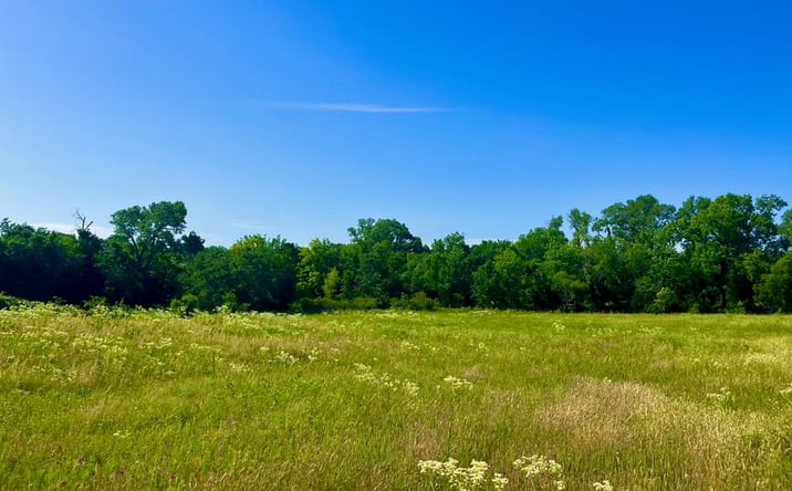 Pictures of Land property located at Lot 69 Sarra Ranch, Poolville, TX 76487 for sales - image #1