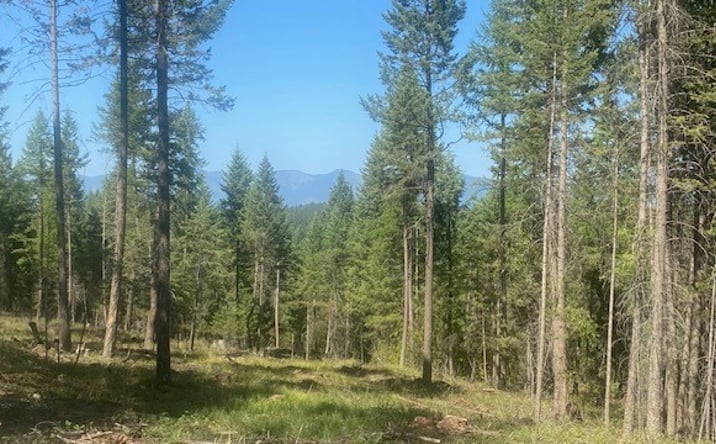 Pictures of Land property located at NHN Soaring Eagle Drive, Whitefish, MT 59937 for sales - image #1