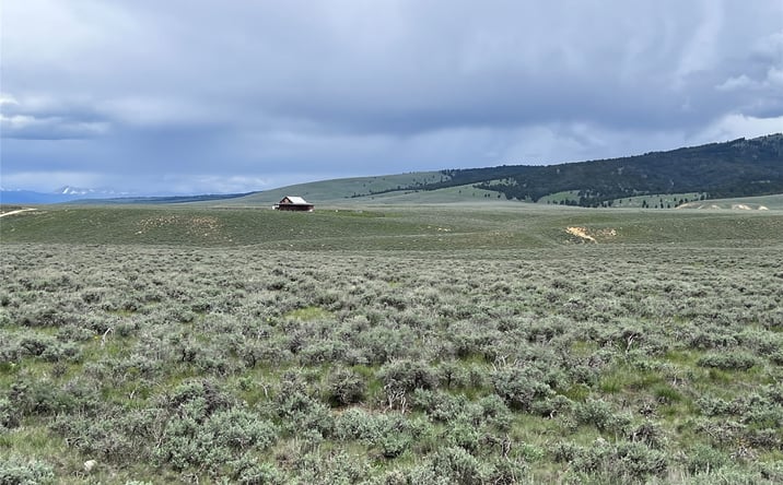 Pictures of Land property located at Tract 10 Steel Creek Road, Wisdom, MT 59761 for sales - image #1