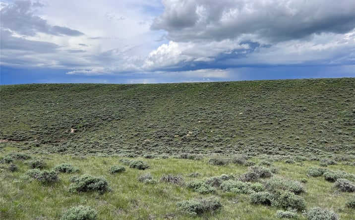 Pictures of Land property located at Tract 11 Steel Creek Road, Wisdom, MT 59761 for sales - image #1