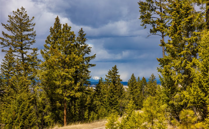 Pictures of Land property located at 1243 Tobacco Valley View Road, Eureka, MT 59917 for sales - image #1
