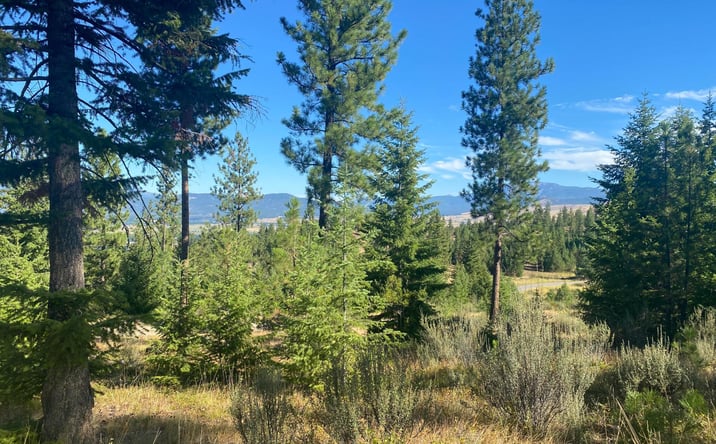 Pictures of Land property located at Lot 27 Bighorn Bluff, Plains, MT 59859 for sales - image #1