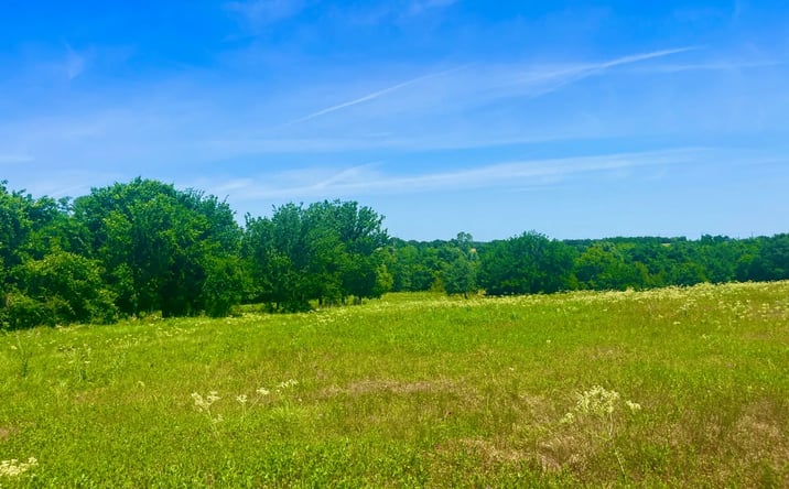 Pictures of Land property located at Lot 101 Sarra Ranch, Poolville, TX 76487 for sales - image #1