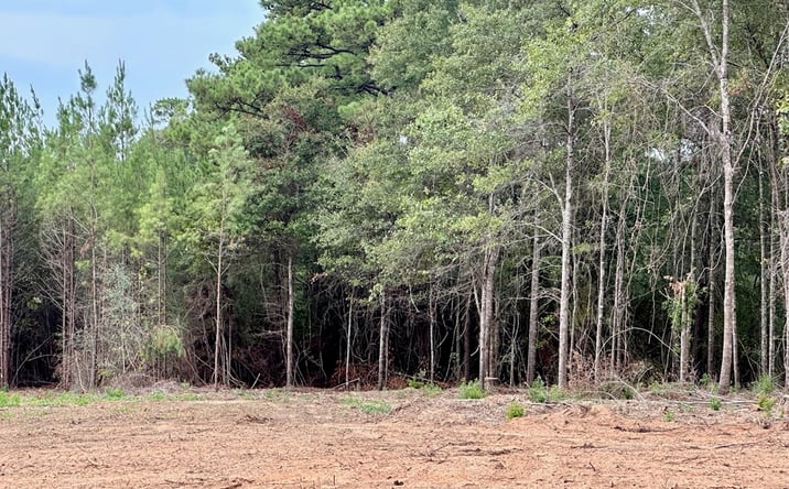 Pictures of Land property located at 000 Bates Ave, Purvis, MS 39475 for sales - image #1