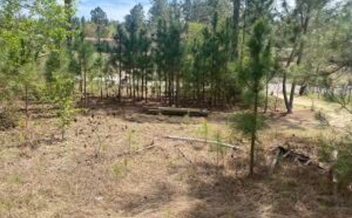 Pictures of Land property located at 160 Mayfield Road, Aiken, SC 29801 for sales - image #1