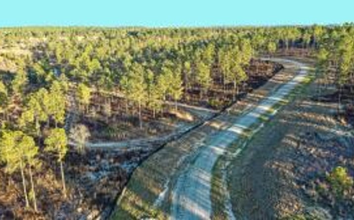 Pictures of Land property located at Lot 4 Little Horse Creek Drive, Trenton, SC 29847 for sales - image #1