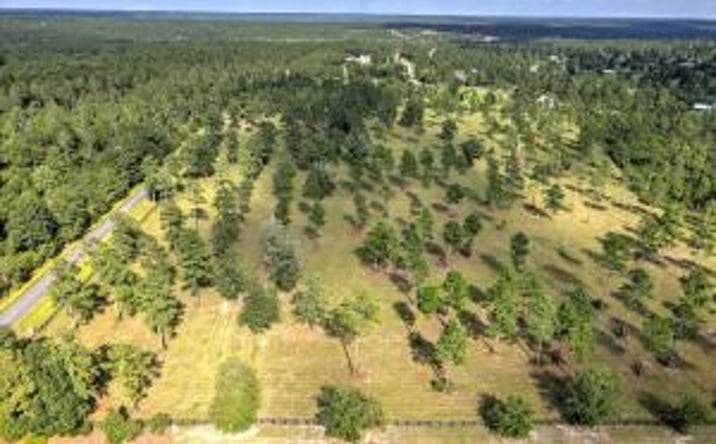 Pictures of Land property located at Lot 1 Paddock Club Parkway, Aiken, SC 29803 for sales - image #1