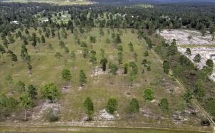 Pictures of Land property located at Lot 5 Paddock Club Parkway, Aiken, SC 29803 for sales - image #1