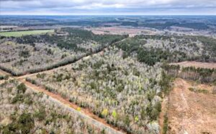 Pictures of Land, Special Purpose property located at Mile Bridge Road, Johnston, SC 29832 for sales - image #1
