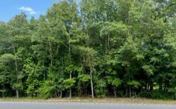 Pictures of Land property located at 11610 Highway 3, Barnwell, SC 29812 for sales - image #1