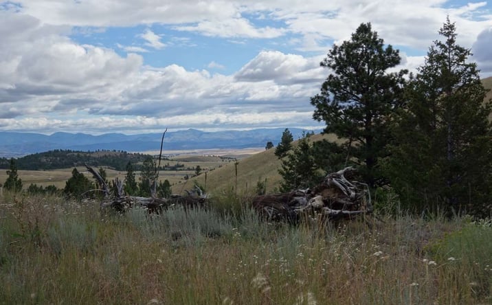 3 Ridge View Drive, Clancy, MT 59634 | Crexi.com