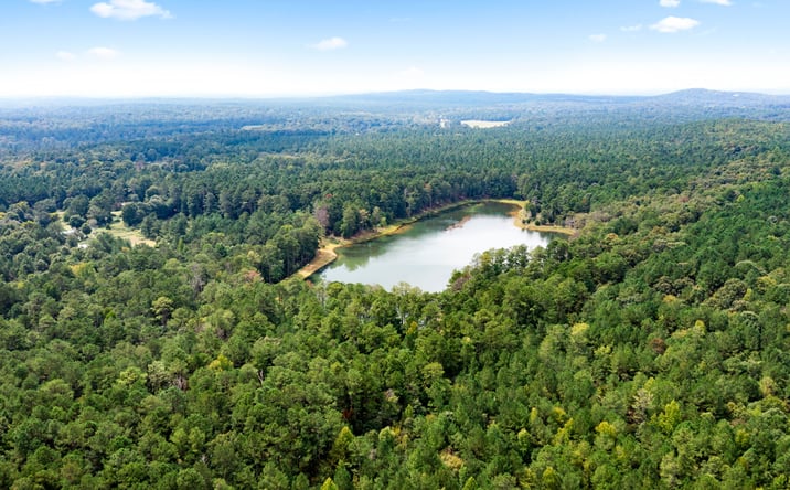 Pictures of Land property located at Ore Mine Rd, Taylorsville, GA 30178 for sales - image #1