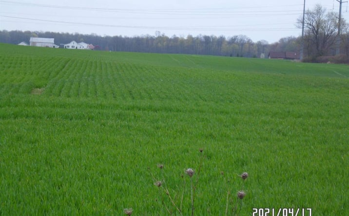 Pictures of Land property located at County Road 29, Auburn, IN 46706 for sales - image #1