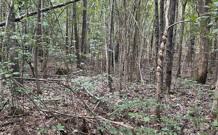 Pictures of Land property located at 5105 Linndale Rd, Graysville, AL 35073 for sales - image #1