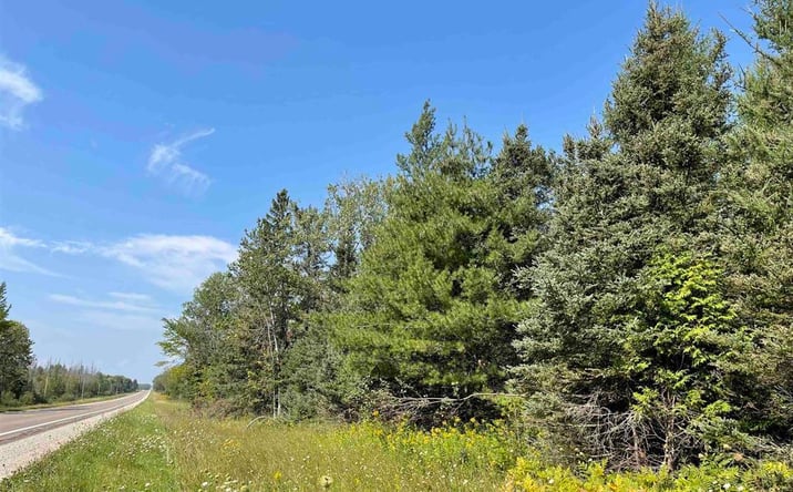 Pictures of Land property located at TBD M-94, Skandia, MI 49885 for sales - image #1