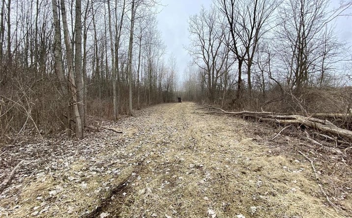 Pictures of Land, Industrial property located at S FOREST, Lenox, MI 48050 for sales - image #1