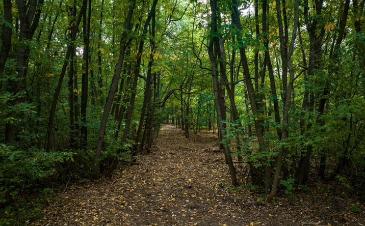 Pictures of Land property located at 0 Red Arrow Highway, Bridgman, MI 49106 for sales - image #1