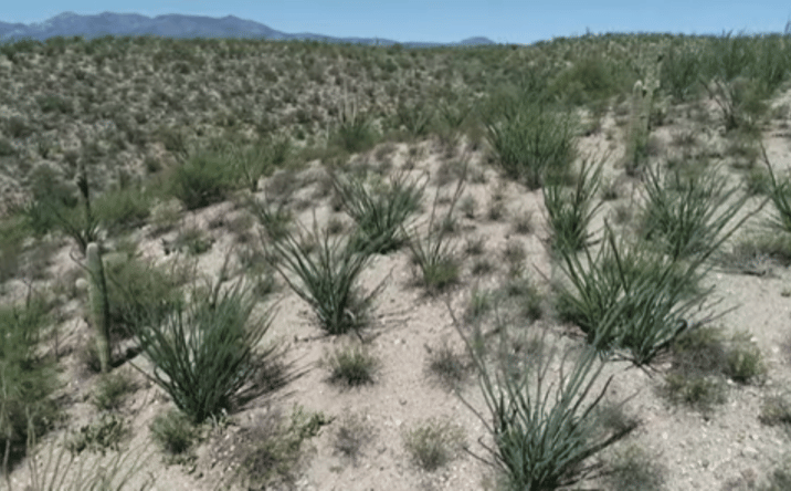 Pictures of Land property located at 110 N Redington Rd, San Manuel, AZ 85631 for sales - image #1