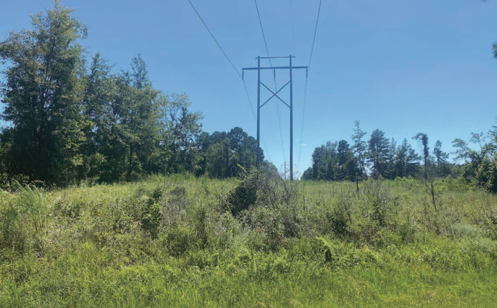 Pictures of Land property located at APW 18, Magnolia, AR 71753 for sales - image #1