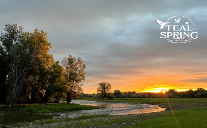 Pictures of Land property located at Teal Spring Subdivision, Sheridan, WY 82801 for sales - image #1