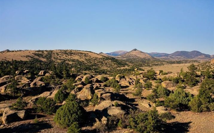 Pictures of Land property located at 227 Altair Road, Del Norte, CO 81132 for sales - image #1