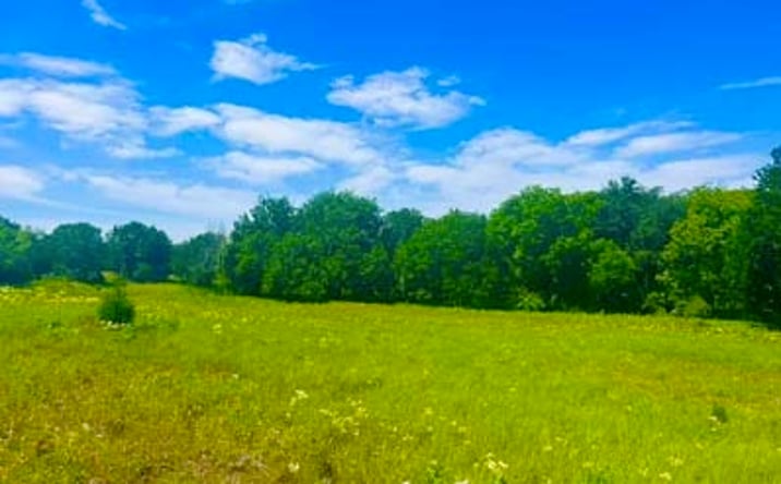 Pictures of Land property located at Lot 100 Sarra Ranch, Poolville, TX 76487 for sales - image #1