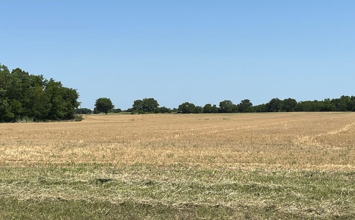 Pictures of Land property located at 2626 FM 816, Wolfe City, TX 75496 for sales - image #1