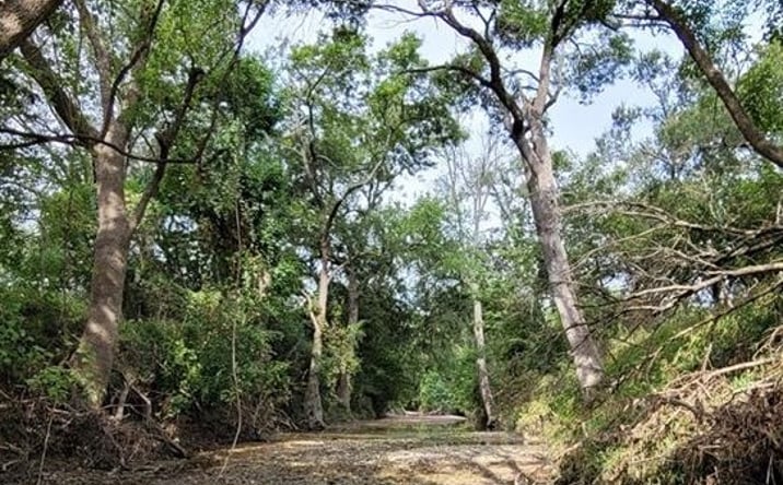 Pictures of Land property located at Rosanky Rd, Holland, TX 76534 for sales - image #1