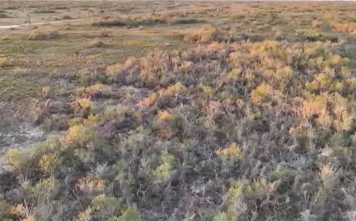 Pictures of Land property located at Lot #11  2007 FM 755, Encino, TX 78353 for sales - image #1