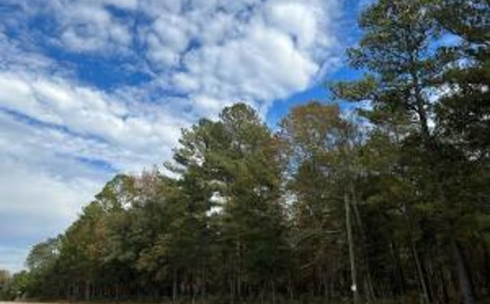 Pictures of Land property located at 0-A3 Wendel Lane, Wagener, SC 29164 for sales - image #1