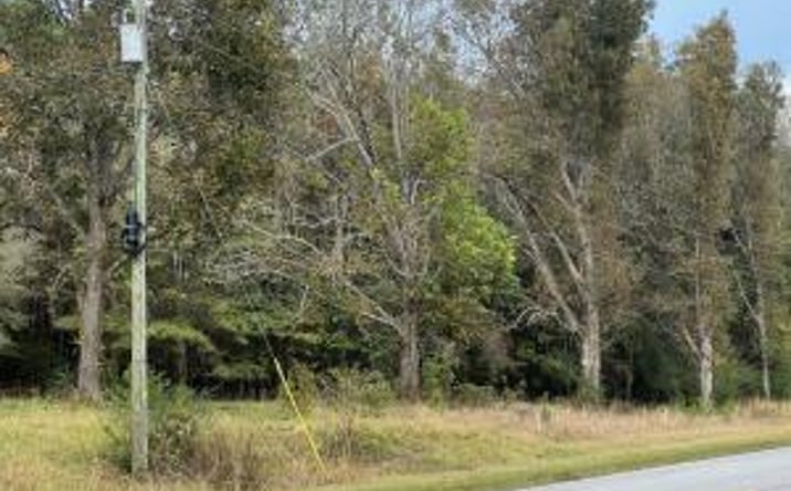 Pictures of Land property located at 0-W8 Wendell Ln, Wagener, SC 29164 for sales - image #1