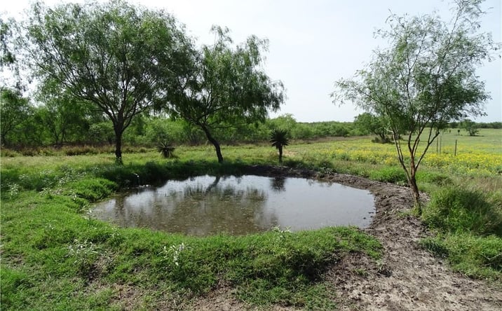 Pictures of Land property located at 0 FM 2294 Highway, San Isidro, TX 78588 for sales - image #1