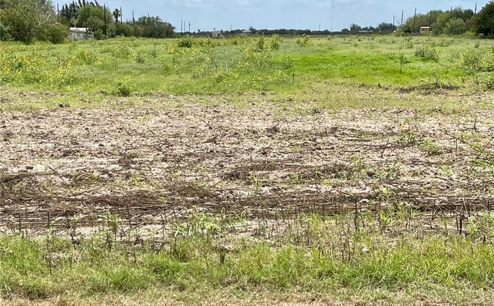 Pictures of Land property located at TBD FM 1015 Road, Progreso, TX 78579 for sales - image #1